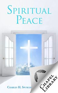 Baixar Spiritual Peace (English Edition) pdf, epub, eBook