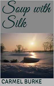 Baixar Soup with Silk (English Edition) pdf, epub, eBook