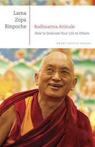 Baixar Bodhisattva Attitude: How to Dedicate Your Life to Others (Heart Advice Series Book 1) (English Edition) pdf, epub, eBook