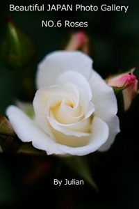 Baixar Beautiful JAPAN Photo Gallery NO6 Roses (Japanese Edition) pdf, epub, eBook