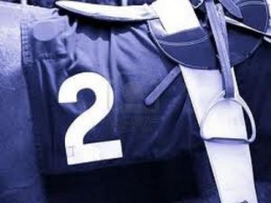 Baixar COMMENT TROUVER UN GAGNANT PAR JOUR AUX COURSES HIPPIQUES (French Edition) pdf, epub, eBook