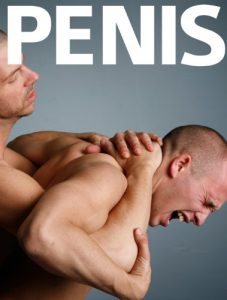 Baixar Penis (English Edition) pdf, epub, eBook