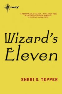 Baixar Wizard’s Eleven (Land of the True Game Book 3) (English Edition) pdf, epub, eBook