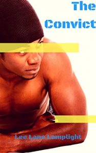 Baixar The Convict (Light Yaoi MM Novelettes Book 1) (English Edition) pdf, epub, eBook