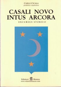 Baixar Casalnuovo di Napoli – Casali Novo intus Arcora: excursus storico (Italian Edition) pdf, epub, eBook