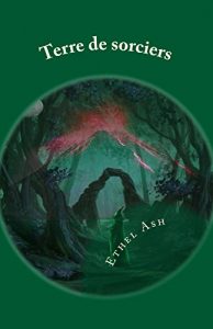 Baixar Terre de sorciers 1: L’orphelin (French Edition) pdf, epub, eBook