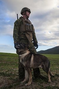 Baixar MARINE CORPS MILITARY WORKING DOG (MWD) MANUAL (English Edition) pdf, epub, eBook