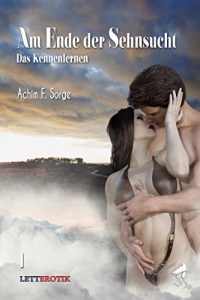 Baixar Am Ende der Sehnsucht: Das Kennenlernen (German Edition) pdf, epub, eBook