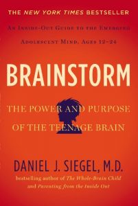 Baixar Brainstorm: The Power and Purpose of the Teenage Brain pdf, epub, eBook