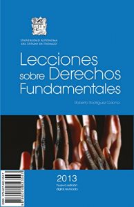 Baixar Lecciones sobre Derechos Fundamentales (Spanish Edition) pdf, epub, eBook