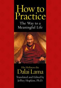 Baixar How To Practice: The Way to a Meaningful Life (English Edition) pdf, epub, eBook