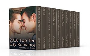 Baixar 2016 Top Ten Gay Romance (English Edition) pdf, epub, eBook