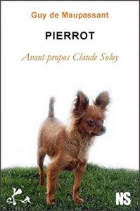 Baixar Pierrot: Nouvelle noire (French Edition) pdf, epub, eBook