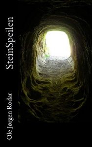 Baixar Steinspeilen (Norwegian_bokmal Edition) pdf, epub, eBook