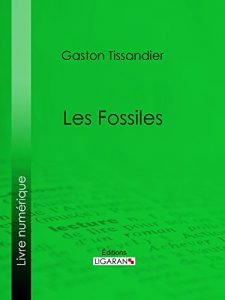 Baixar Les Fossiles (French Edition) pdf, epub, eBook