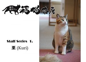 Baixar Fukunekosabou staff series 1 Kuri (Japanese Edition) pdf, epub, eBook