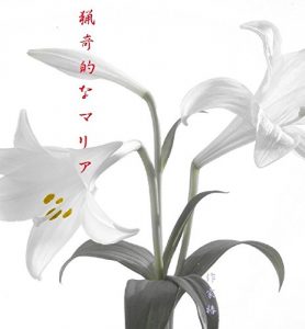 Baixar Ryokiteki na Maria (Japanese Edition) pdf, epub, eBook