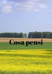 Baixar Cosa pensi (Italian Edition) pdf, epub, eBook