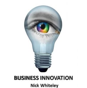 Baixar Business Innovation : A Little Book of  Big Ideas (1st Edition) (English Edition) pdf, epub, eBook