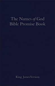 Baixar The KJV Names of God Bible Promise Book, Blue Imitation Leather pdf, epub, eBook