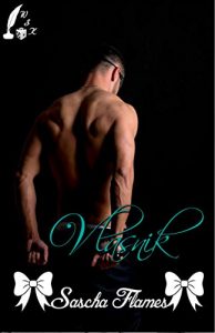 Baixar Vlasnik (Robinja 2) (German Edition) pdf, epub, eBook