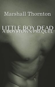 Baixar Little Boy Dead: A Boystown Prequel (Boystown Mysteries Book 0) (English Edition) pdf, epub, eBook