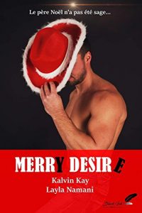 Baixar Merry Desire (French Edition) pdf, epub, eBook