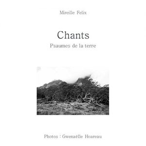 Baixar Chants: Psaumes de la terre (French Edition) pdf, epub, eBook