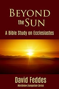Baixar Beyond the Sun: a Bible Study on Ecclesiastes (English Edition) pdf, epub, eBook