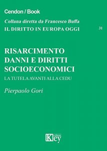 Baixar Risarcimento danni e diritti socioeconomici: La tutela avanti alla CEDU (Il diritto in Europa oggi Vol. 31) (Italian Edition) pdf, epub, eBook