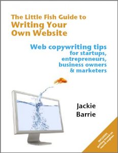 Baixar The Little Fish Guide to Writing Your Own Website (English Edition) pdf, epub, eBook