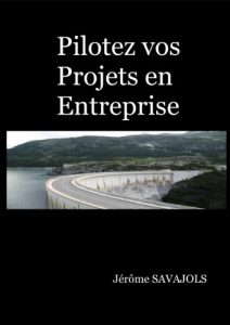 Baixar Pilotez vos projet en entreprise (French Edition) pdf, epub, eBook