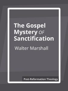 Baixar The Gospel Mystery of Sanctification (English Edition) pdf, epub, eBook