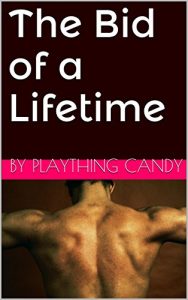 Baixar The Bid of a Lifetime (English Edition) pdf, epub, eBook