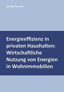 Baixar Energieeffizienz in privaten Haushalten: Wirtschaftliche Nutzung von Energien in Wohnimmobilien (German Edition) pdf, epub, eBook