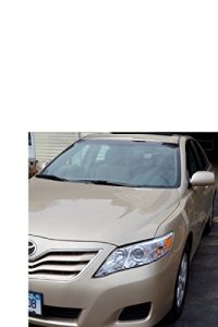 Baixar dealer ginza (Japanese Edition) pdf, epub, eBook