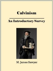 Baixar Calvinism (Reformed Theology): An Introductory Survey (Christian Theological Traditions and Movements Book 4) (English Edition) pdf, epub, eBook