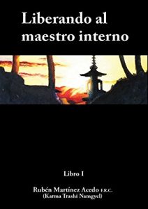 Baixar Liberando al maestro interno (Spanish Edition) pdf, epub, eBook