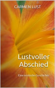 Baixar Lustvoller Abschied: Eine erotische Geschichte (German Edition) pdf, epub, eBook