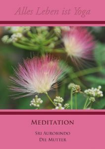 Baixar Meditation (Alles Leben ist Yoga 2) (German Edition) pdf, epub, eBook