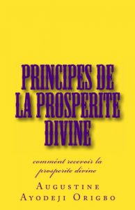 Baixar principes de la PROSPERITE DIVINE: comment recevoir la posperite divine (French Edition) pdf, epub, eBook
