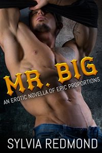 Baixar Mr. Big: An Erotic Novella of Epic Proportions (English Edition) pdf, epub, eBook