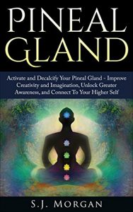 Baixar Pineal Gland: Activate and Decalcify Your Pineal Gland – Improve Creativity and Imagination, Unlock Greater Awareness, and Connect To Your Higher Self … Spirit Guide, Meditation) (English Edition) pdf, epub, eBook