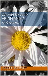 Baixar Calvinism and Arminianism: An Overview (English Edition) pdf, epub, eBook