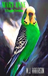 Baixar Mary Anne: A Fragile Freedom (English Edition) pdf, epub, eBook