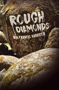 Baixar Rough Diamonds (English Edition) pdf, epub, eBook