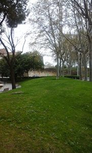 Baixar Sobreviviendo en el bosque azul pdf, epub, eBook