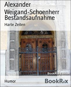 Baixar Bestandsaufnahme: Harte Zeiten (German Edition) pdf, epub, eBook