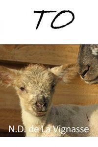 Baixar Temps Ordinaire (N.D. de LA VIGNASSE t. 1) (French Edition) pdf, epub, eBook