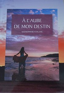 Baixar A l’aube de mon Destin (French Edition) pdf, epub, eBook
